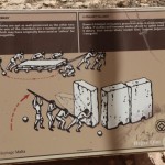IMG_5086-850x567