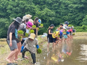田植え１