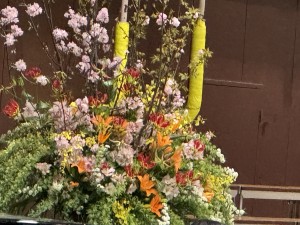 IMG_3470