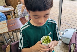 大豆