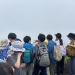 IMG_8520
