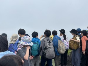 IMG_8520