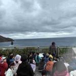 IMG_8598