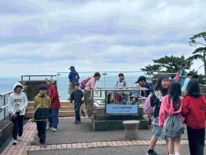 IMG_8617