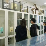 生物部では生物室の標本を一般公開