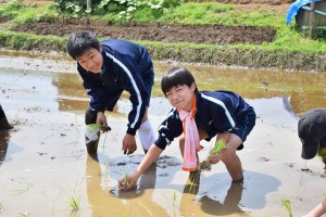 【中学１・２年生】田んぼの教室田植え編