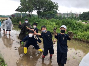 【中1田んぼの教室】