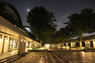 学園通りの夜景