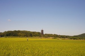 rikkyo school in england