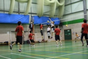 2015T3Volley2