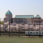 埼玉平成の桜をみにいこう