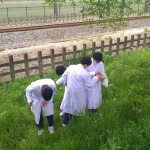 【中学校】理科の授業