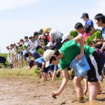 順番に並びながら田植えをしました