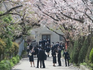 桜が舞う正門近辺