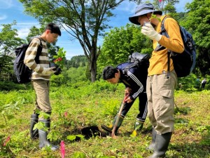 未来につなぐ貴重な植林体験