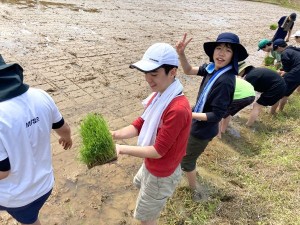 青空の下、初めての田植えに挑戦