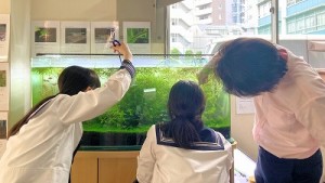 0620水上 水草トリミング