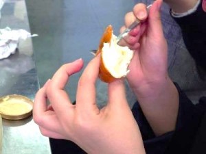 0424三島　バターづくり (1)