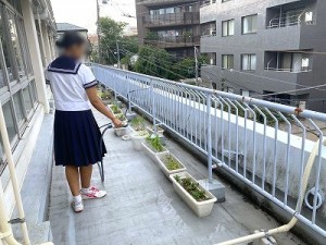 0704水上　屋上菜園