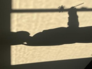 1222池谷　フォト光と影