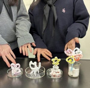 1224今井　高２実験