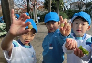 カエル公園　ブドウ拾い修正