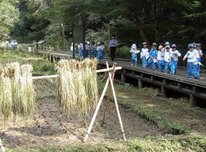 東高根１