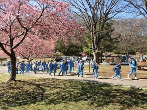 桜の下で班行動