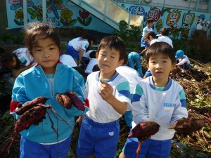 芋掘り2017