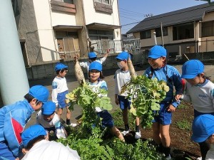 春の収穫