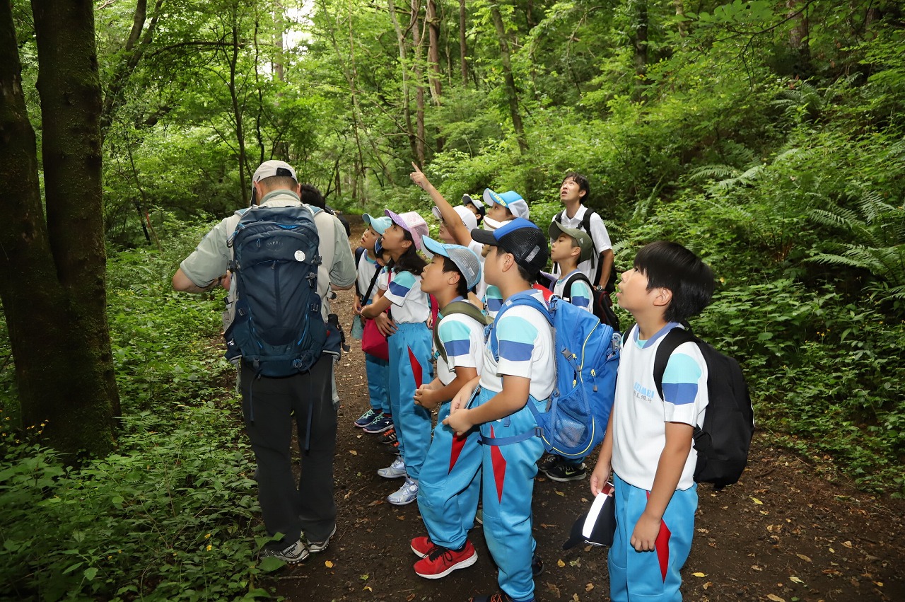 山 の 学校 ブログ