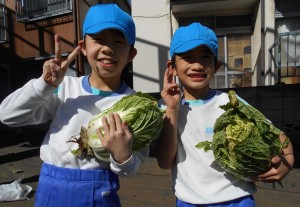 秋野菜の収穫１