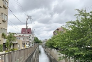 呑川