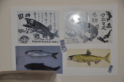 img_27e9a0db095f96b439c98d427582ac266506796