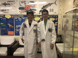 img_d7dcff0c15bd55cad88c31b77556b4832796551