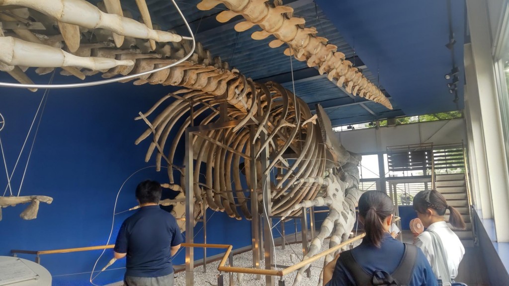 生物１