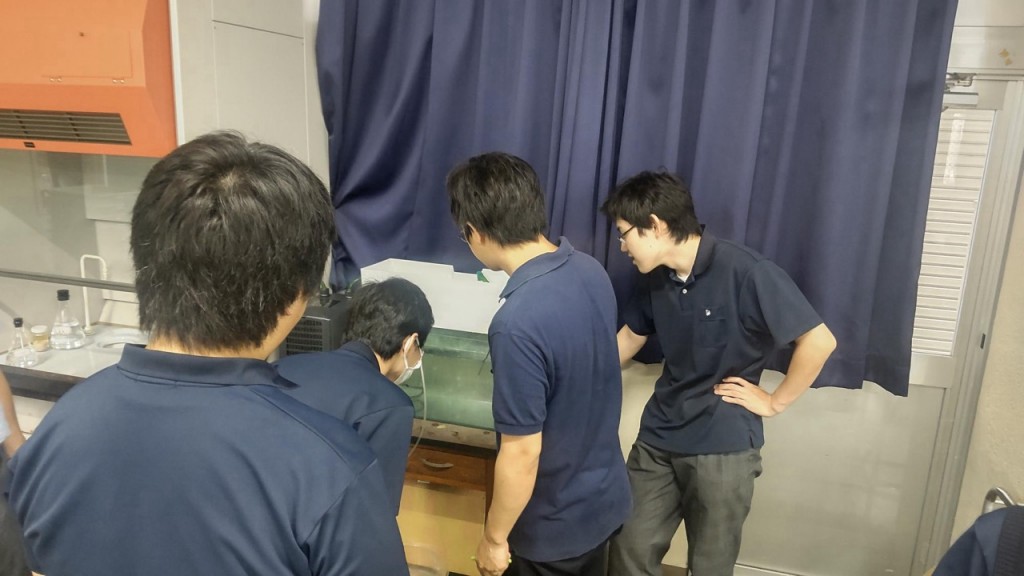 アクア１