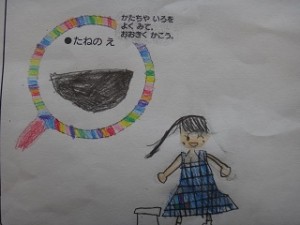 聖徳大学附属小学校 【１年】アサガオの観察をしよう