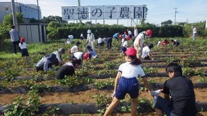 聖徳の子農園の草取り！！