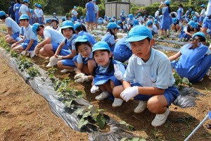 農園草取り＆明和班交流が行われました。