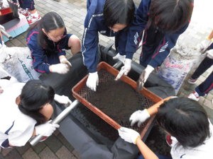 農業女子プロジェクト