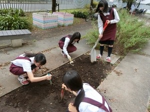 農業女子プロジェクト　～種まきをしました！～