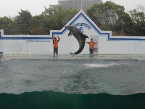 DSCN6101