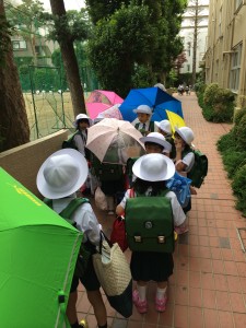 写真 2014-06-05 15 12 33 (1)