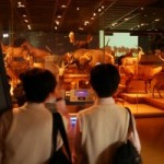 国立科学博物館