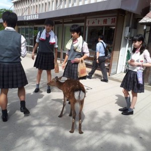 中等部3年【修学旅行】