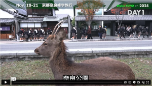 中学3年生の京都・奈良修学旅行を実施しました