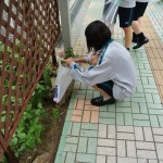 ボランティア