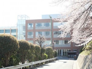 地域清掃ボランティア