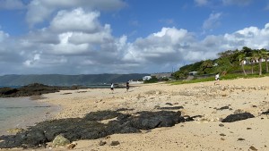 逃走中 in 奄美大島